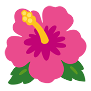 🌺 Emoji Flor De Hibisco en Google Android 12L.
