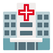 🏥 Emoji Hospital en Google Android 12L.