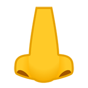 Emoji 👃 Naso su Google Android 12L.