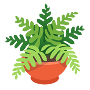 Émoji 🪴 Plante En Pot sur Google Android 12L.