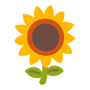 🌻 Emoji Sonnenblume Google Android 12L.