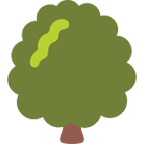 🌳 Emoji árvore Caidiça na Google Android 4.4.