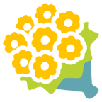 💐 Emoji Blumenstrauß Google Android 5.0.