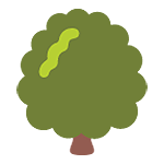 🌳 Emoji árbol De Hoja Caduca en Google Android 5.0.