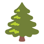 🌲 Emoji árbol De Hoja Perenne en Google Android 5.0.