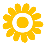 🌻 Emoji Sonnenblume Google Android 5.0.