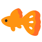 Emoji 🐠 Pesce Tropicale su Google Android 5.0.