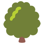 🌳 Emoji árbol De Hoja Caduca en Google Android 6.0.1.