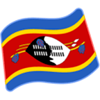 Emoji 🇸🇿 Bandiera: Swaziland su Google Android 6.0.1.
