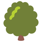 🌳 Emoji árbol De Hoja Caduca en Google Android 7.1.