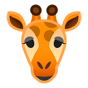 Emoji 🦒 Giraffa su Google Android 8.0.