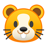 Émoji 🐹 Hamster sur Google Android 8.0.