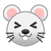 Emoji 🐭 Muso Di Topo su Google Android 8.0.