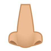 Emoji 👃🏼 Naso: Carnagione Abbastanza Chiara su Google Android 8.0.