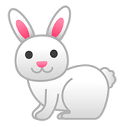 🐇 Emoji Conejo en Google Android 8.0.