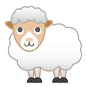 Émoji 🐑 Mouton sur Google Android 8.0.