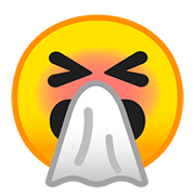 🤧 Emoji niesendes Gesicht Google Android 8.0.