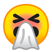 🤧 Emoji niesendes Gesicht Google Android 8.1.