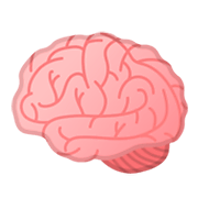 Emoji 🧠 Cervello su Google Android 9.0.