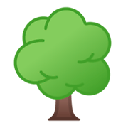 🌳 Emoji árbol De Hoja Caduca en Google Android 9.0.