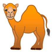 🐪 Emoji Camelo na Google Android 9.0.