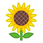 🌻 Emoji Sonnenblume Google Android 9.0.