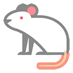 🐁 Emoji Ratón en HTC Sense 7.