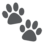 Émoji 🐾 Empreintes D’animaux sur HTC Sense 7.