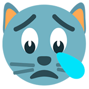 weinende Katze