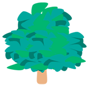 🌳 Emoji árbol De Hoja Caduca en JoyPixels 1.0.