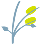 Émoji 🌾 Plant De Riz sur JoyPixels 1.0.