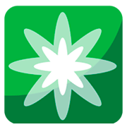 Émoji ❇️ éclat sur JoyPixels 1.0.