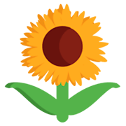 Emoji 🌻 Girasole su JoyPixels 1.0.