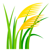 🌾 Emoji Planta De Arroz na JoyPixels 3.0.