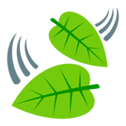 🍃 Emoji Blätter im Wind JoyPixels 3.0.