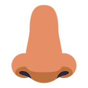 Emoji 👃🏽 Naso: Carnagione Olivastra su JoyPixels 3.0.
