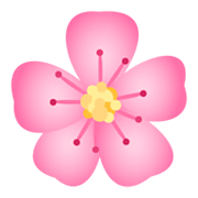 🌸 Emoji Flor De Cerejeira na JoyPixels 4.0.
