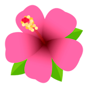 🌺 Emoji Hibisco na JoyPixels 4.0.