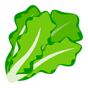 🥬 Emoji Verdura De Hoja Verde en JoyPixels 4.0.