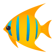 Emoji 🐠 Pesce Tropicale su JoyPixels 4.0.
