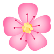 Émoji 🌸 Fleur De Cerisier sur JoyPixels 5.0.