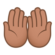 🤲🏽 Emoji Palmas Hacia Arriba Juntas: Tono De Piel Medio en JoyPixels 5.0.
