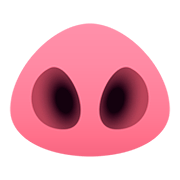 🐽 Emoji Nariz De Porco na JoyPixels 5.0.
