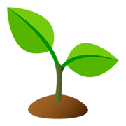 🌱 Emoji Planta Joven en JoyPixels 5.0.