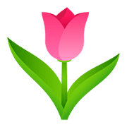 Émoji 🌷 Tulipe sur JoyPixels 5.0.