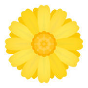 🌼 Emoji gelbe Blüte JoyPixels 5.5.