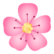 Emoji 🌸 Fiore Di Ciliegio su JoyPixels 5.5.