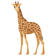 Emoji 🦒 Giraffa su JoyPixels 5.5.