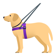 🦮 Emoji Perro Guía en JoyPixels 5.5.