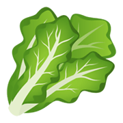 🥬 Emoji Verdura De Hoja Verde en JoyPixels 5.5.
